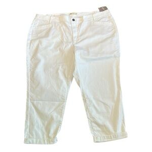 J.Jill white denim jeans PLUS Size 26W,straight leg,slim boyfriend,minimalist